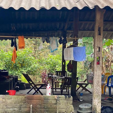 Bikki'S Jungle Homestay Хазянг Экстерьер фото