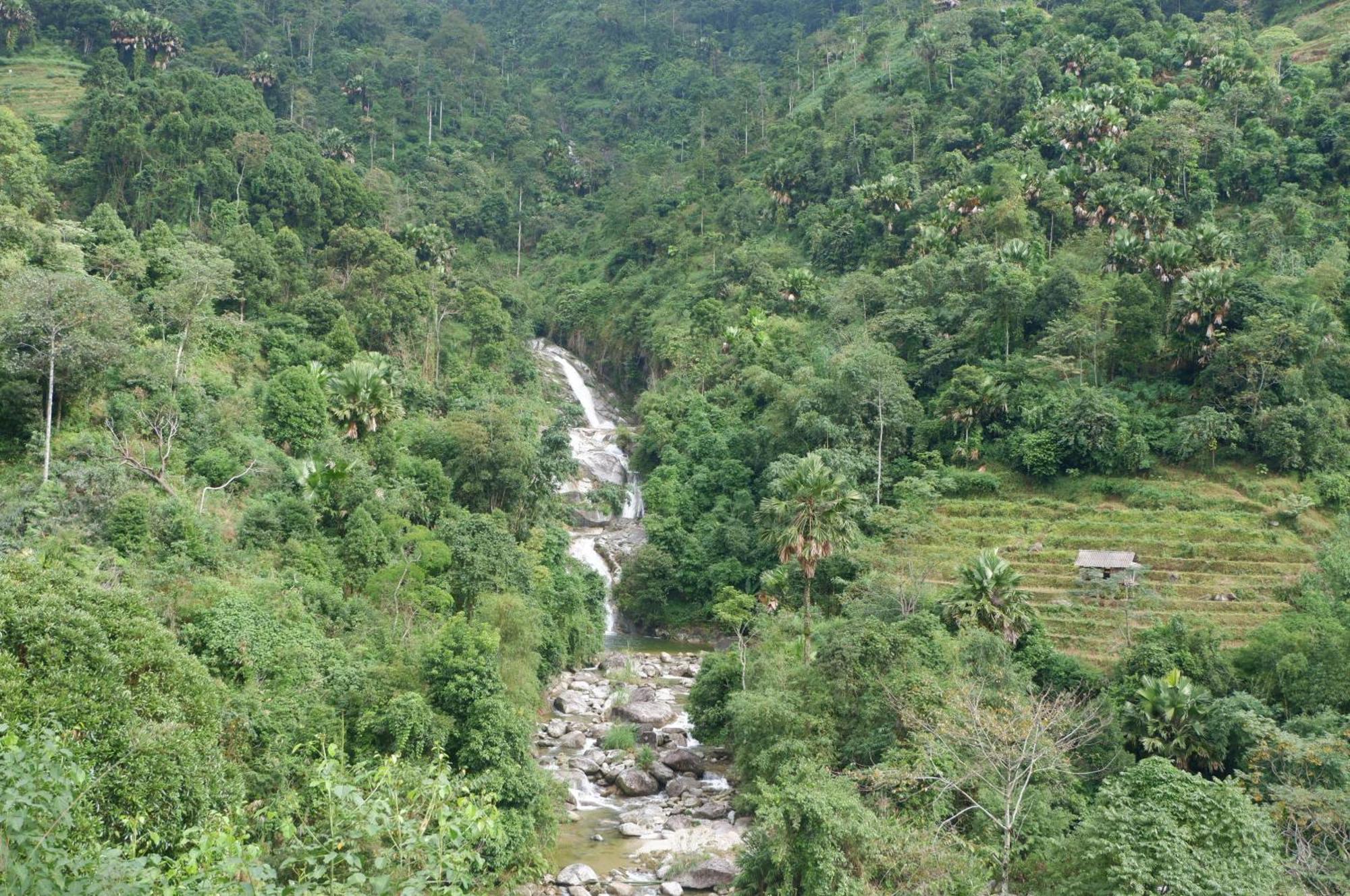 Bikki'S Jungle Homestay Хазянг Экстерьер фото