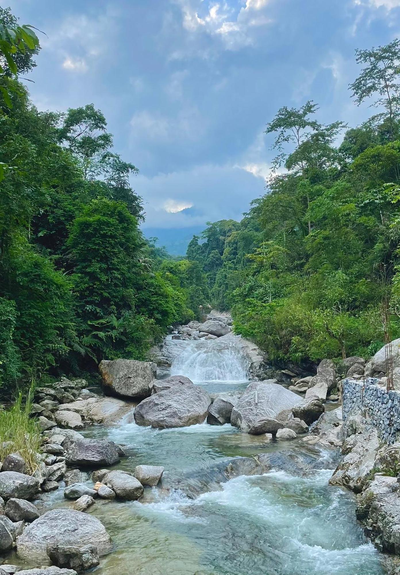 Bikki'S Jungle Homestay Хазянг Экстерьер фото
