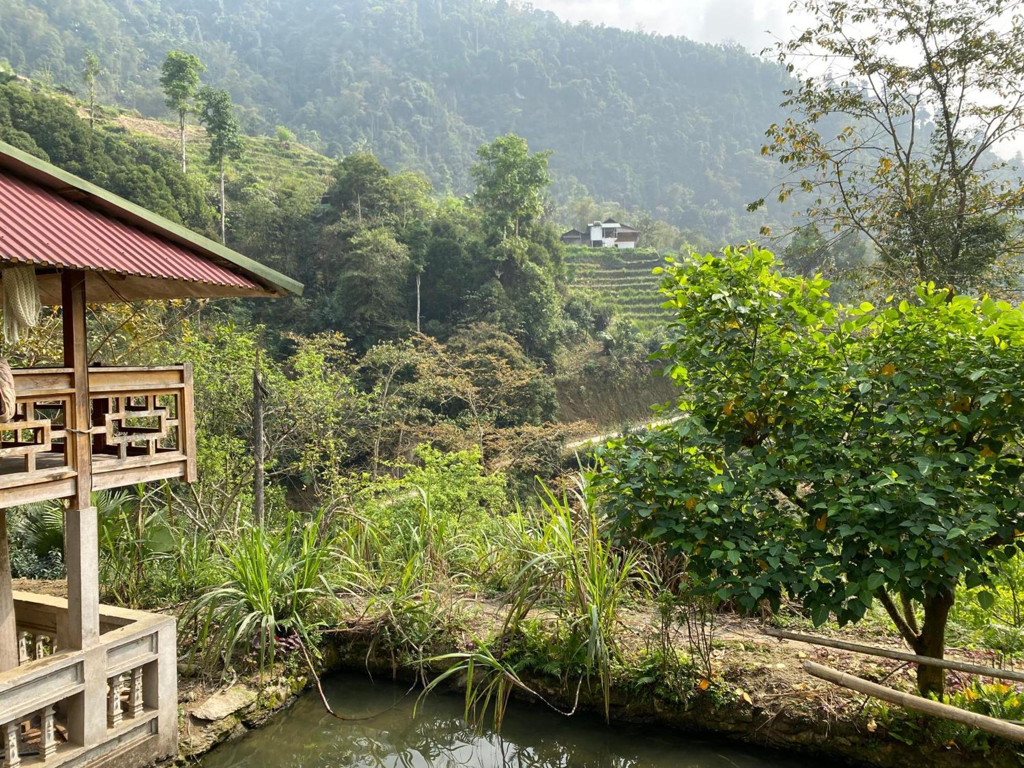 Bikki'S Jungle Homestay Хазянг Экстерьер фото