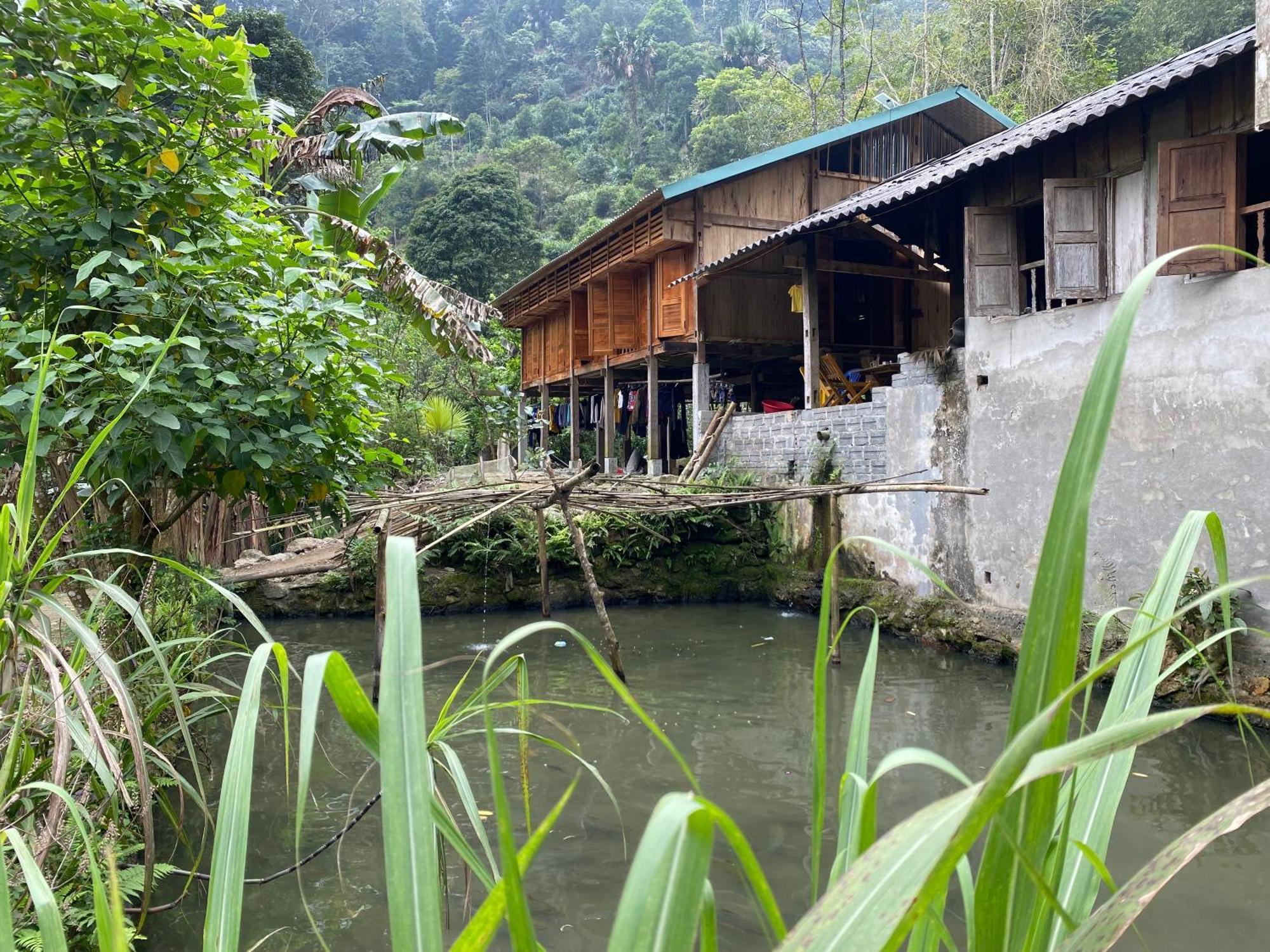 Bikki'S Jungle Homestay Хазянг Экстерьер фото
