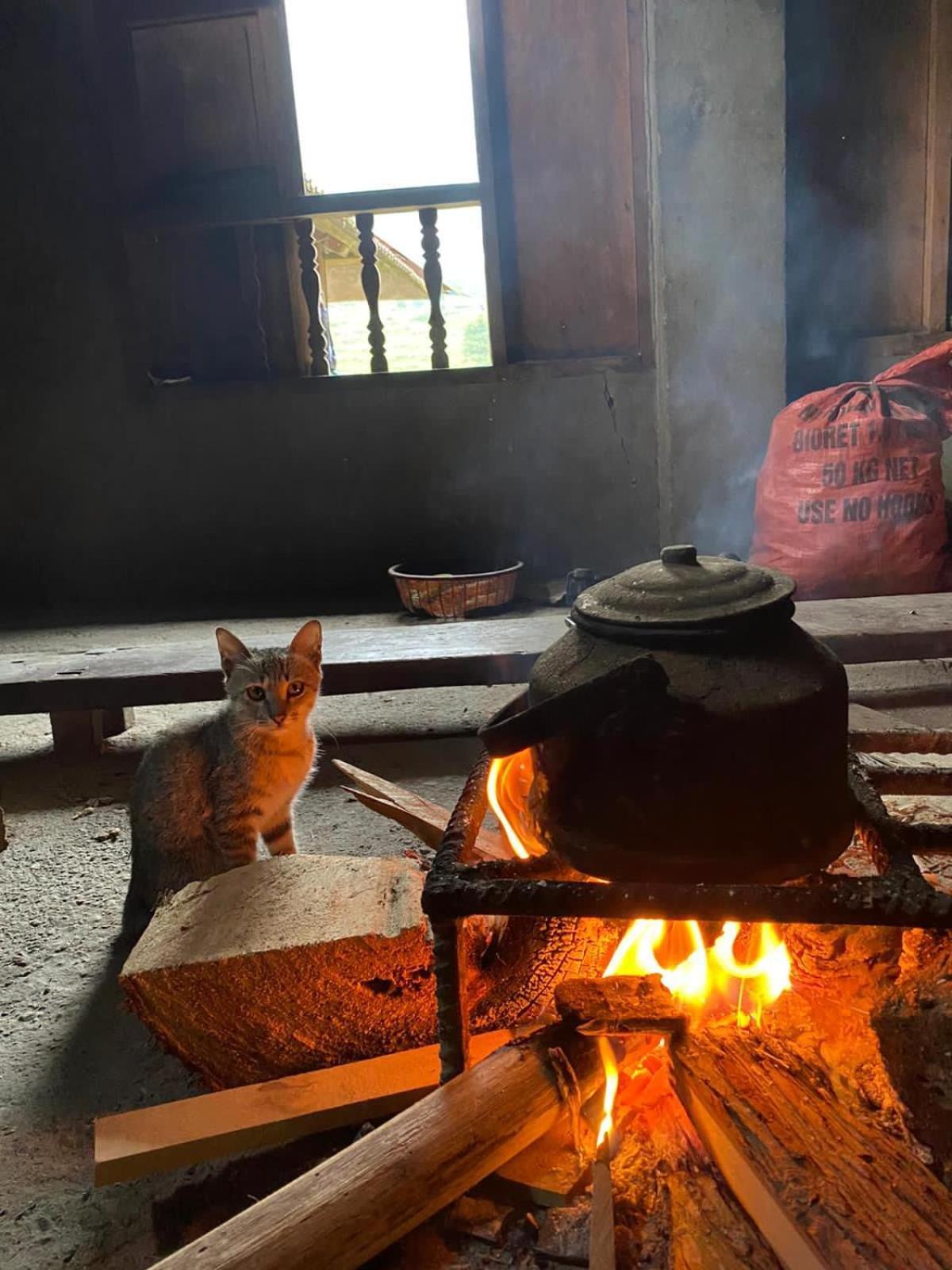 Bikki'S Jungle Homestay Хазянг Экстерьер фото